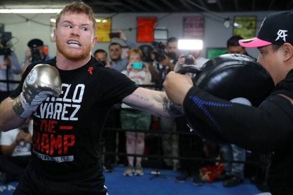 canelo-alvarez (1)_26