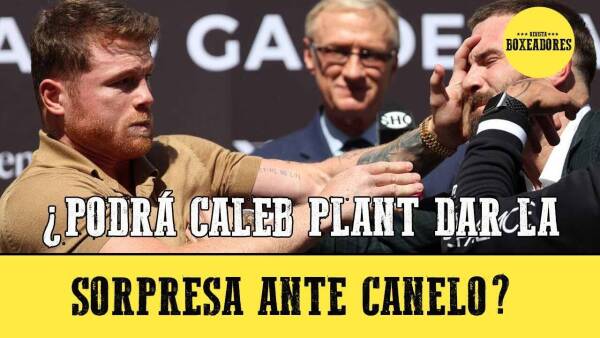 canelo plant